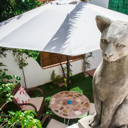 Casa Armonia Dom wakacyjny